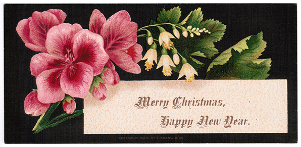 xmas floral